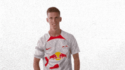 Lets Go Yes GIF by RB Leipzig