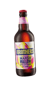 Summer Drink Sticker by Brothers Cider