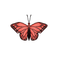 Originallyurban butterfly butterflies originally urban pretty butterfly Sticker