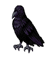 Edgar Allen Poe Bird Sticker