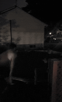 Fish GIF by Beast Lure Co.