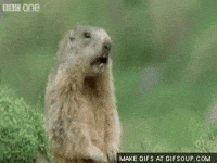 alan GIF