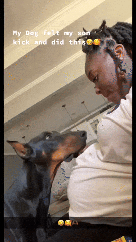 cuteanimalland giphyupload GIF