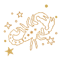Zodiac Sign Star Sticker by Spell & The Gypsy Collective