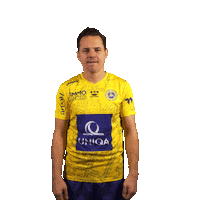 Vienna Sieg Sticker by FirstViennaFC