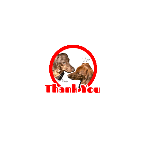 Thanks Sticker by Pimp Yo Pets