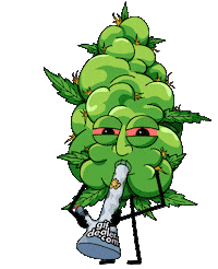 Weed Cbd Sticker by Hanfibio Cannabis Store