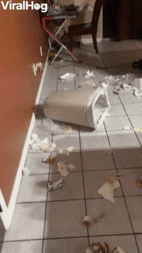 Guilty Little Pup Stuck In Garbage Lid GIF by ViralHog