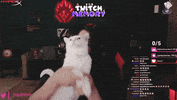 Pqueen GIF
