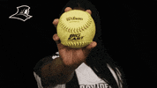 Pcsb GIF by Providence Friars