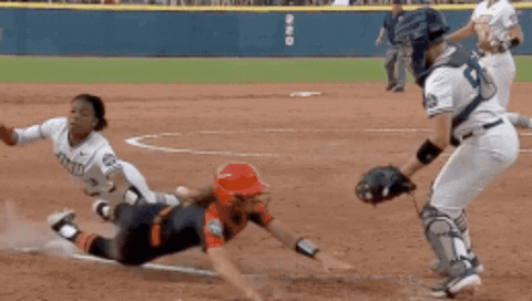 World Series Tag GIF by JMUDukes