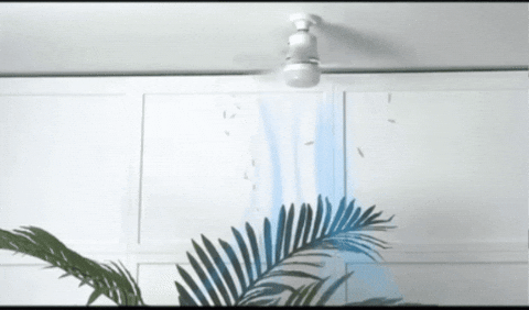 Priscilafigueiredo123 giphygifmaker GIF