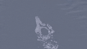 Dance Animation GIF by Anna B Savage