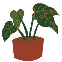 Fashion Home Sticker by Kalea Studio