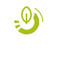 novafitoficial tea energy energia te Sticker
