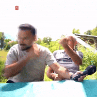 Bee Help GIF by TRT