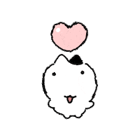 고양이 냥이 Sticker