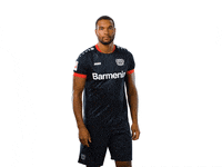 Bayer 04 Werkself GIF by Bayer 04 Leverkusen