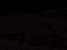 charlie brown GIF by Peanuts