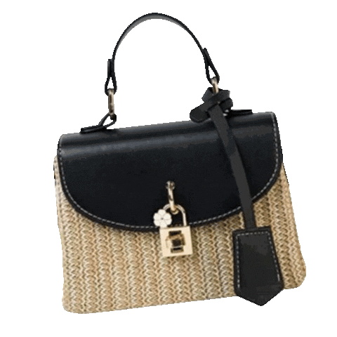 IdeasValyen giphyupload fashion bags yenni Sticker