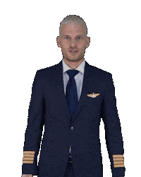 pilotpatrick_ gay swipe up swipe wings Sticker