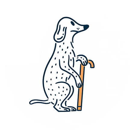 ziggysfordogs giphyupload Sticker