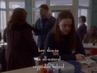 season 1 netflix GIF by Gilmore Girls 
