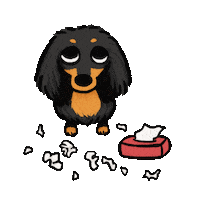 Sausage Dog Dachshund Sticker