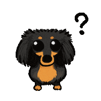 Sausage Dog Dachshund Sticker