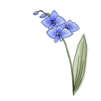 Flower Sticker by Increase Creativity