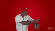 Baseball Mlb GIF by Cincinnati Reds