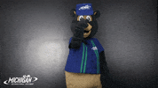 michigan international speedway eyes GIF