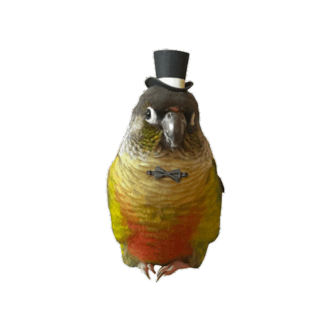 Top Hat Potato Sticker