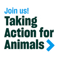 Tafa Sticker by Humane World for Animals