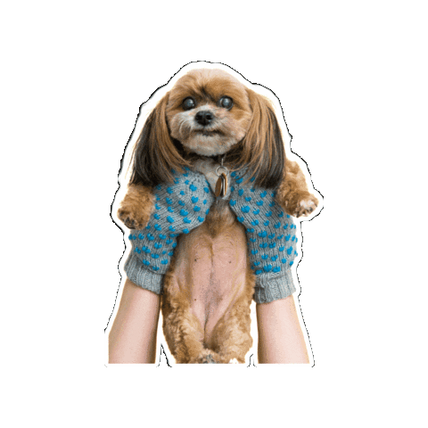 Dog Pets Sticker by Rick Rack Textiles