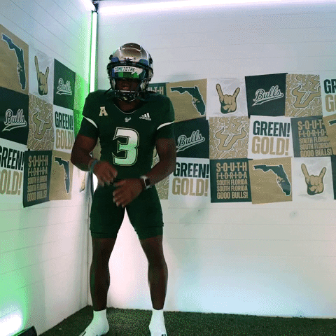 Ncaa Football GIF by USF Athletics