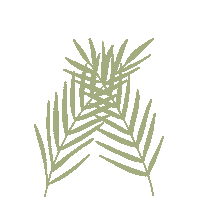 floragabor new new post plants leaves Sticker