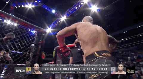 Alexander Volkanovski Sport GIF by UFC
