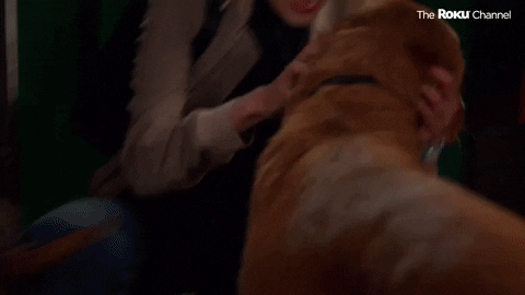 Dogs GIF by The Roku Channel