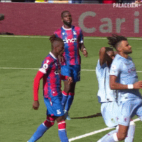 Intimidating Premier League GIF by Crystal Palace Football Club