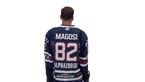 Ice Hockey Sticker by Fehervar AV19