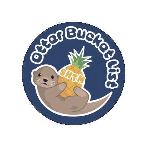 csumbshtm giphygifmaker otter bucketlist csumb Sticker