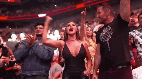 Sport GIF by UFC