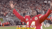 Super Bowl Football GIF by NFL