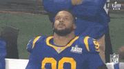 Super Bowl Football GIF by NFL