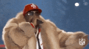 2018 Nfl Football GIF by NFL