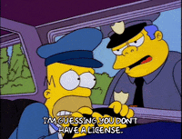 homer simpson GIF