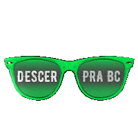 Santa Catarina Balneario Sticker by Brenno e Matheus