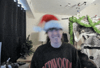 Merry Christmas GIF