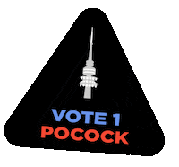 DavidPocock auspol election 2022 pocock david pocock Sticker